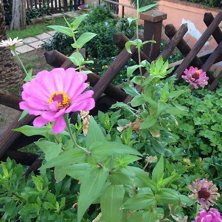 B&B Villa Di Giorgi Чефалу Екстериор снимка